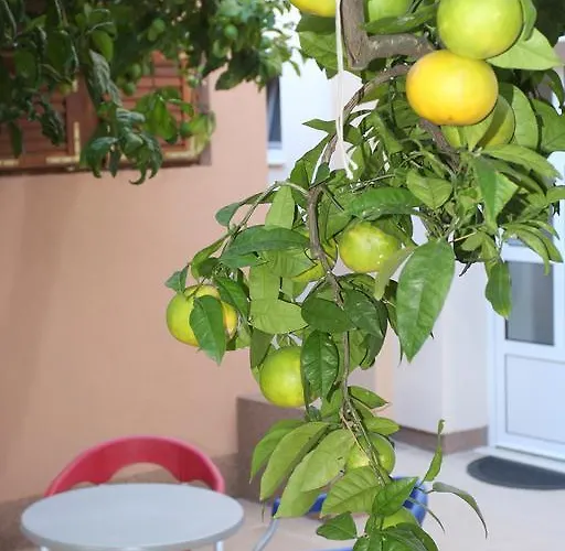 Natali - Heating Pool Apartmán